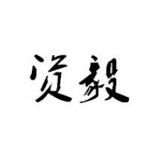 资毅有限公司