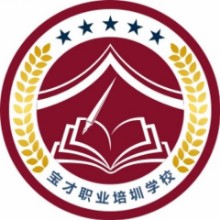 汕头市潮阳区宝才职业培训学校