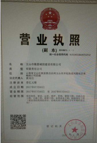 文山市隆恩城投建设有限公司
